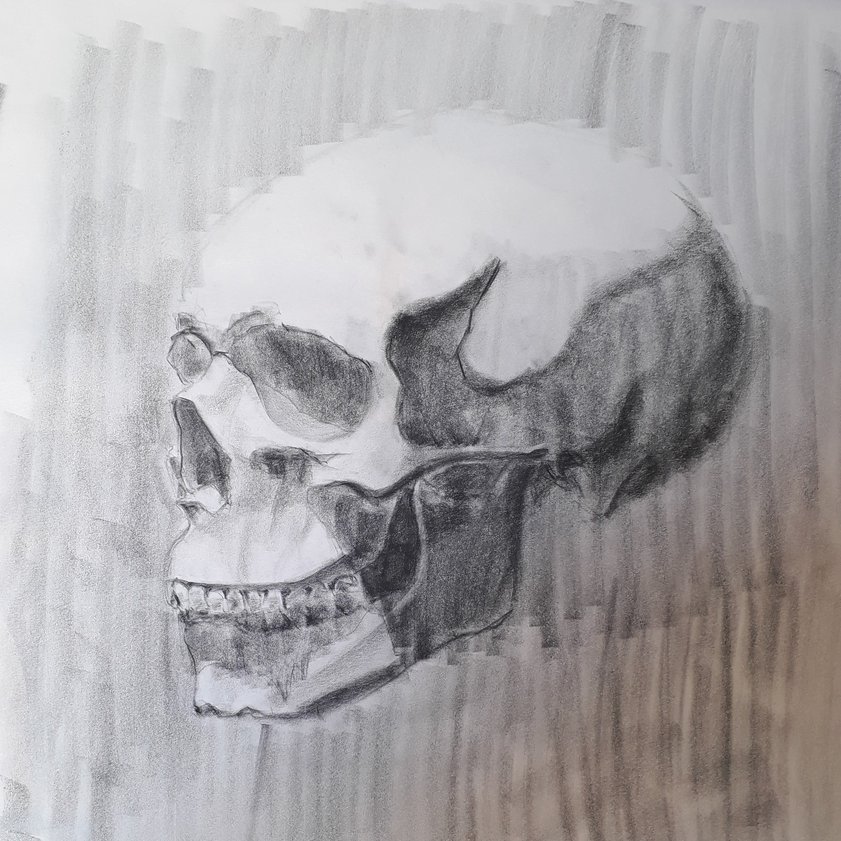 Skull 22/02/18