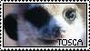 Meerkat Manor Stamp- Tosca