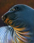 Seal by FreyjaSig