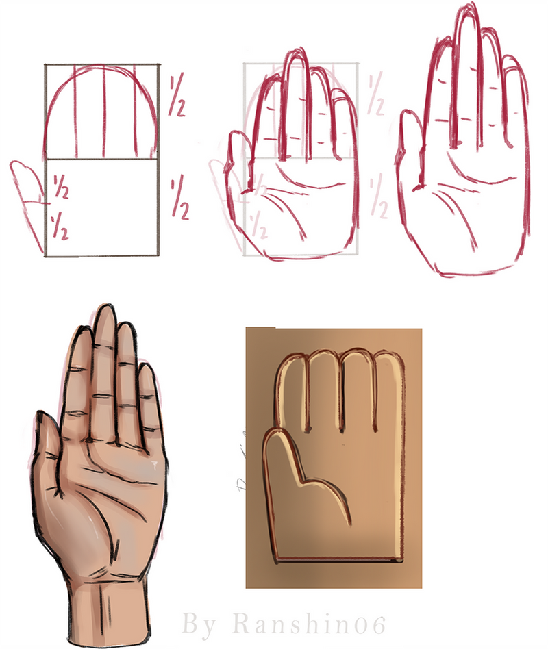 Hand Graphics Basic Design Hand tutorial by ranshin06 on DeviantArt