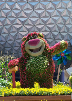 Lotso Flowers