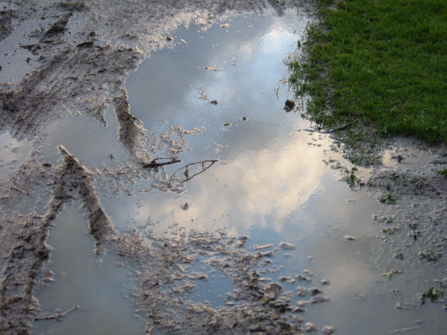 Muddy Reflections by GC-Fan on DeviantArt