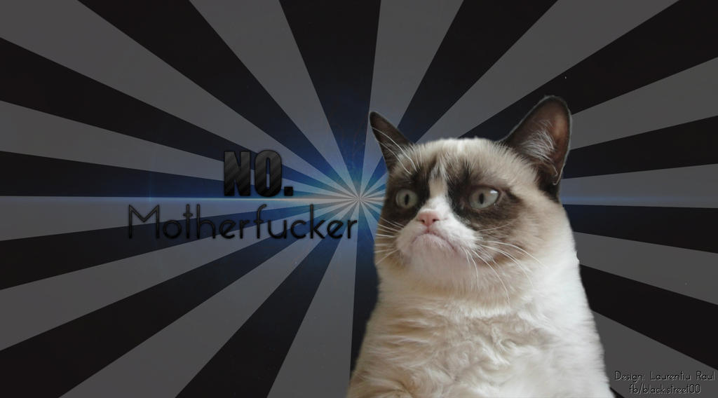 Grumpy Cat Wallpaper NO by Laurentiu2000 on DeviantArt