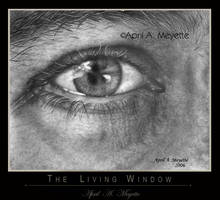 The Living Window