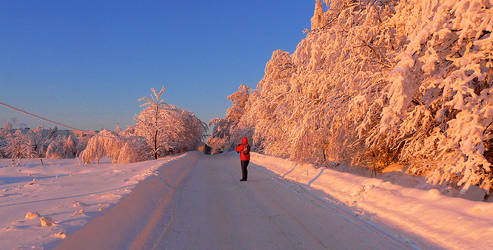 Winter Road