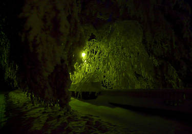 Green Tunnel