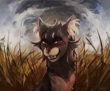 There's a tornado behind me, right?