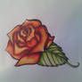 red rose