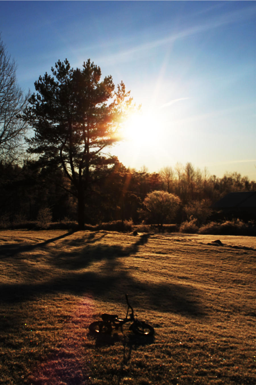 Small Signs of Winter