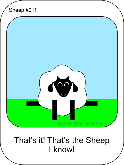 Sheep 11