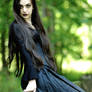 Witch on the Fence