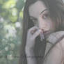 Dhampir Fledgling