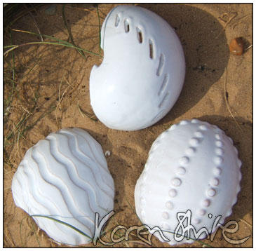 Shell Forms 5 by glasswoman on DeviantArt