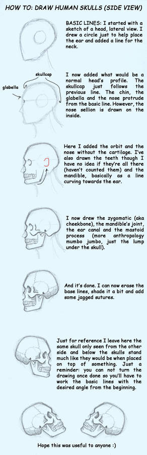 How to: Skulls-side view