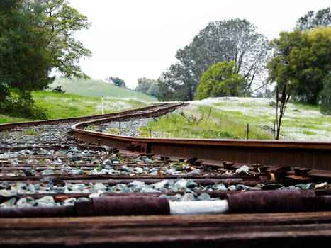 On the tracks