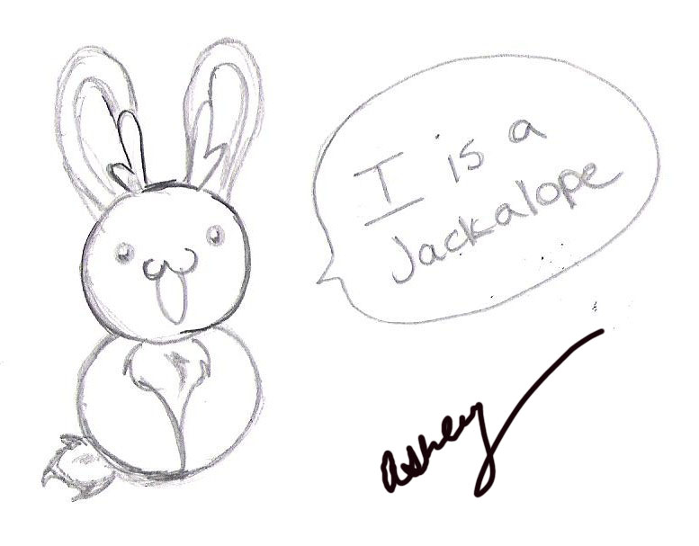 I is a Jackalope