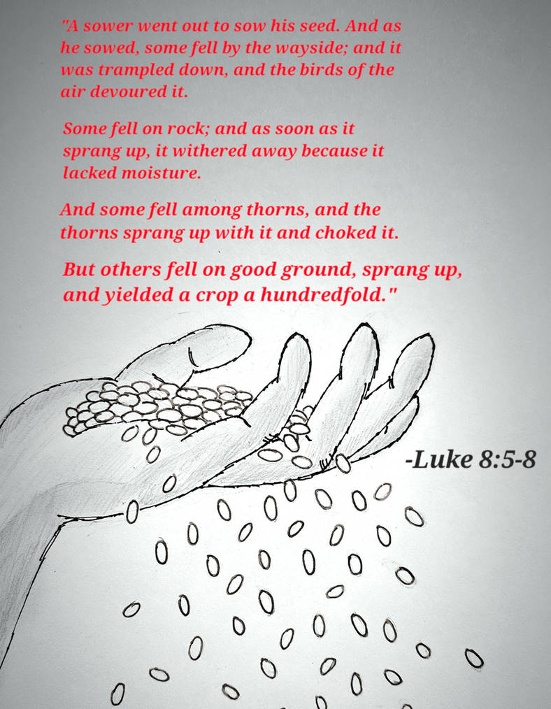 Luke 8 5 8 By She Wolf91 On DeviantArt the-gospel-of-luke-the-sower-and-the-seed-luke-8-4-15-citadel