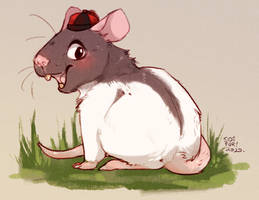 happy ratty new year!