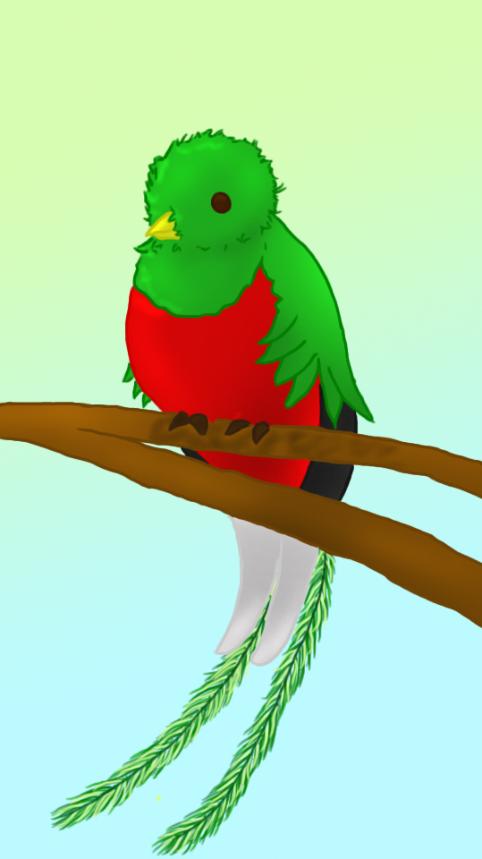 Quetzal