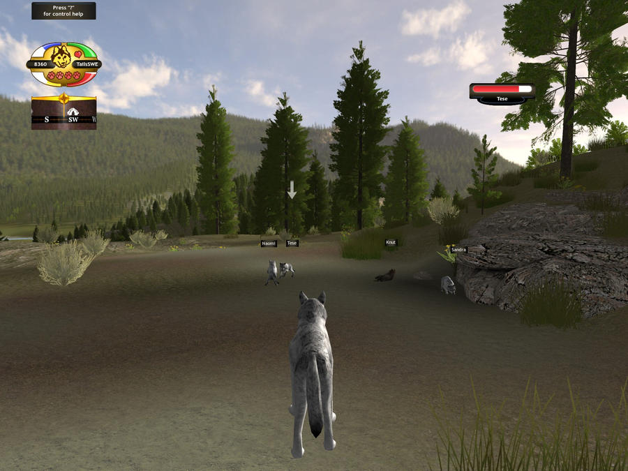 Wolfquest My pups