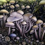 Fungi 23