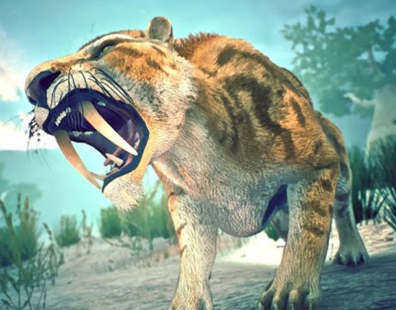 Smilodon by RigelTON618 on DeviantArt