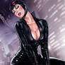 Catwoman t089s