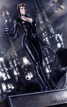 Catwoman rj0999