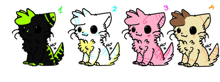 Adoptables Kitten (close)