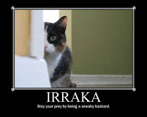 nWoD Kitten Motivator: Irraka