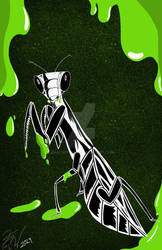 Mantis