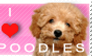 I Love Poodles Stamp