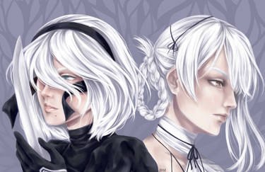 2B and Kaine