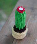 Cactus by LiebeTacos