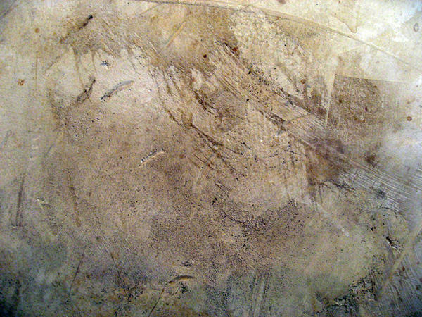 Unrestricted Texture