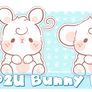 P2U Bunny Base