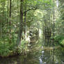 Spreewald, Germany