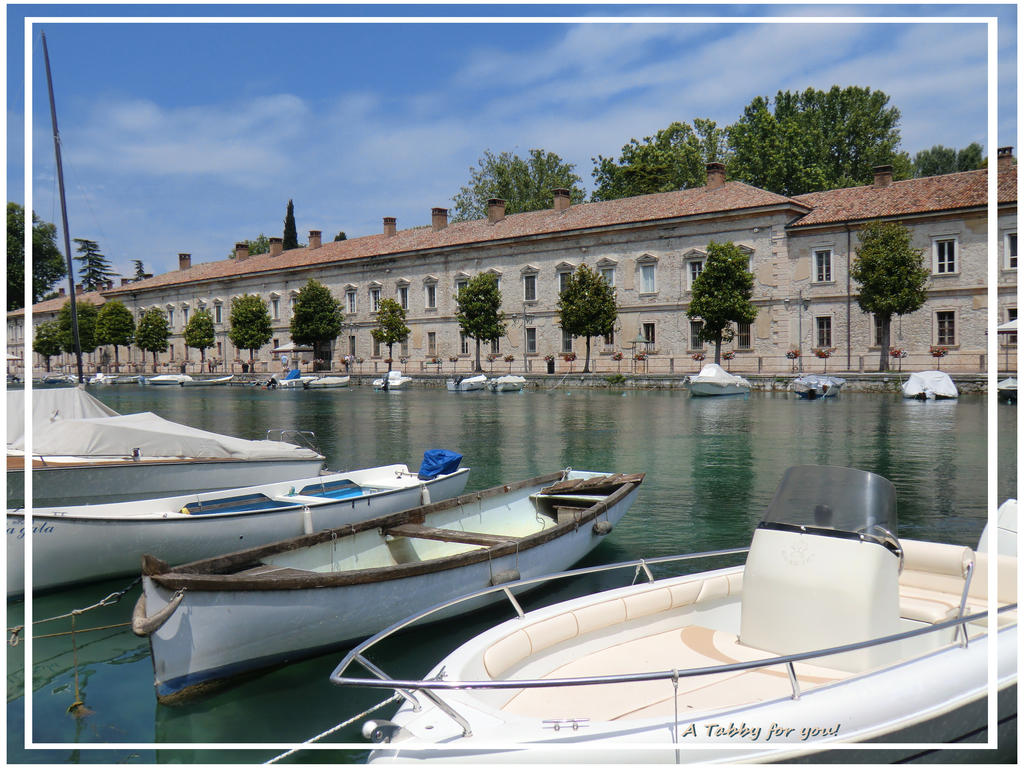 invitation to a boat trip