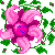 blooming emote pink (CP)