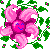 blooming emote pink (CP) by TanteTabata