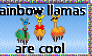 rainbow llamas = cool