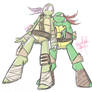 Donnie and Raph (Sketch)