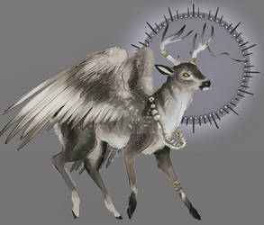 Bone Collecter- Mule Deer X Osprey