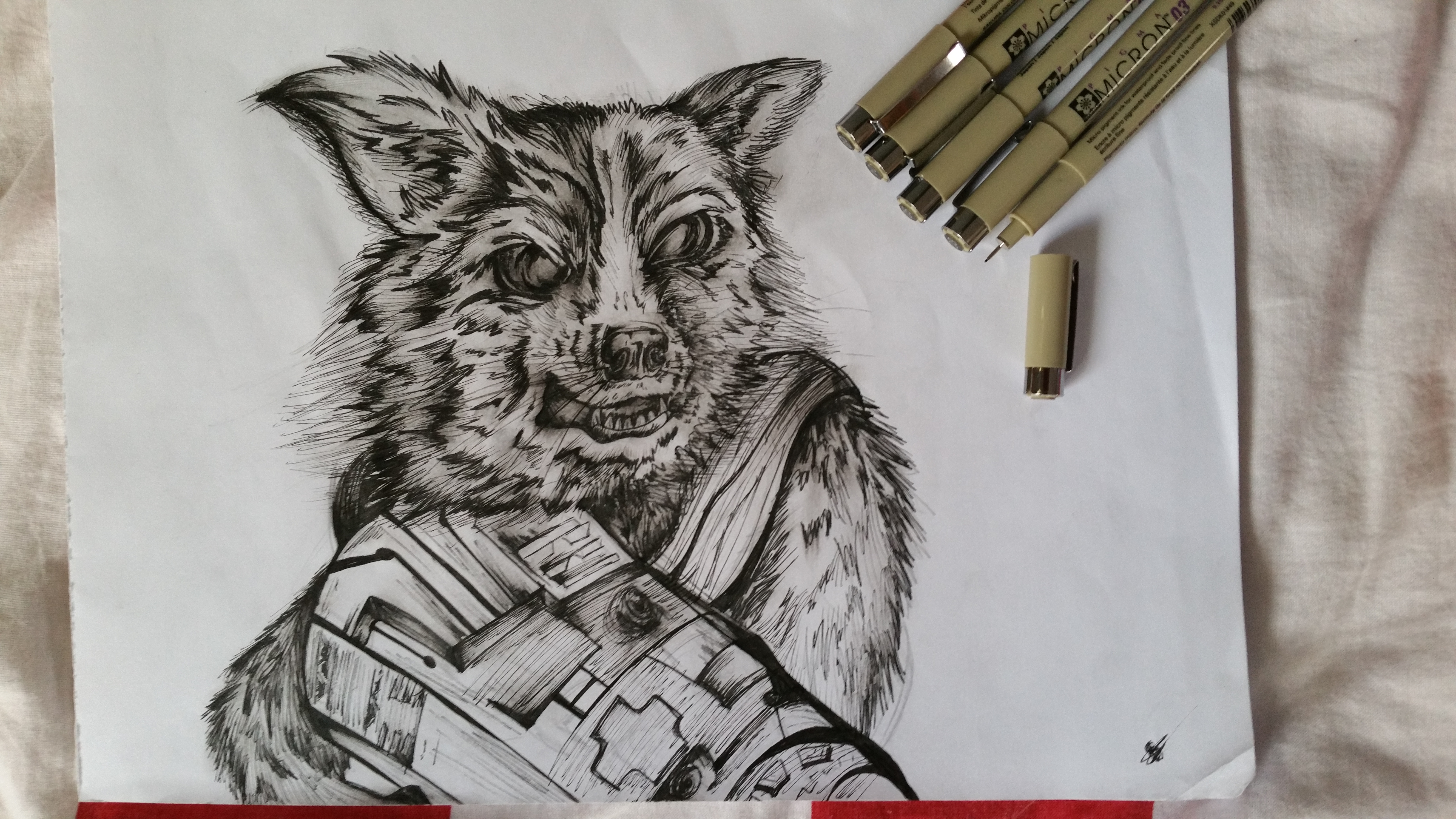 Rocket raccoon