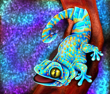 Gecko Deviantart Explore the Best Geckolife Art | DeviantArt