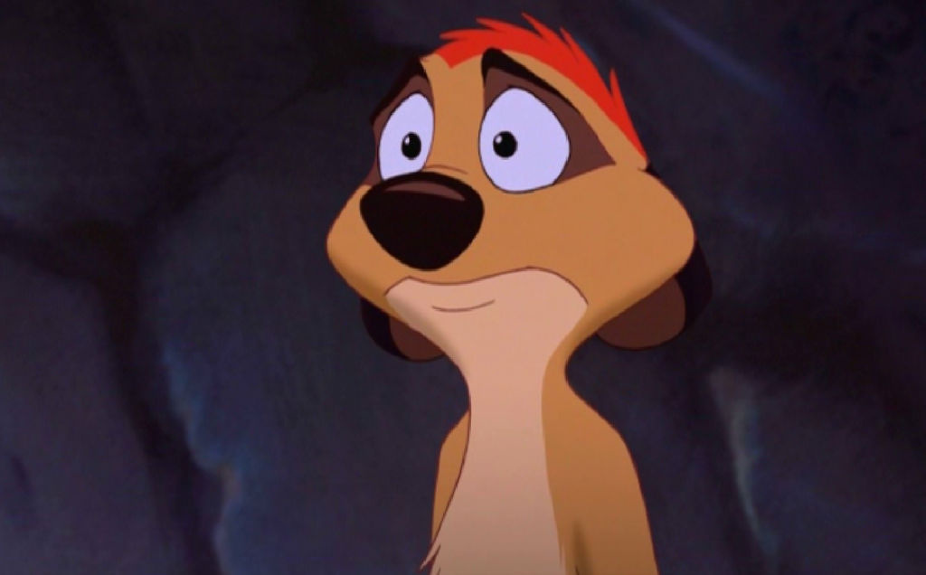 Timon. by mikijarrin on DeviantArt