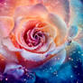 mystical rose
