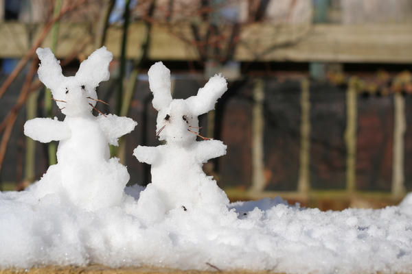 Ice Rabbits by monkeychris on DeviantArt