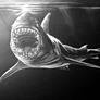 great white on black paper