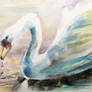 Swan in watercolour pencils